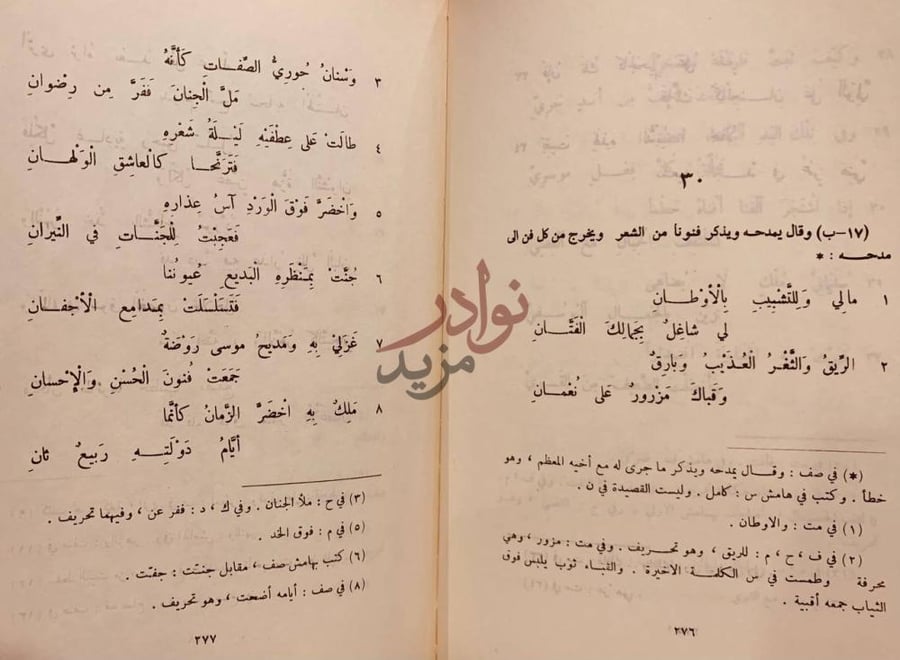 صفحة داخلية كتاب ديوان ابن النبيه المصري صفحات من قصائد