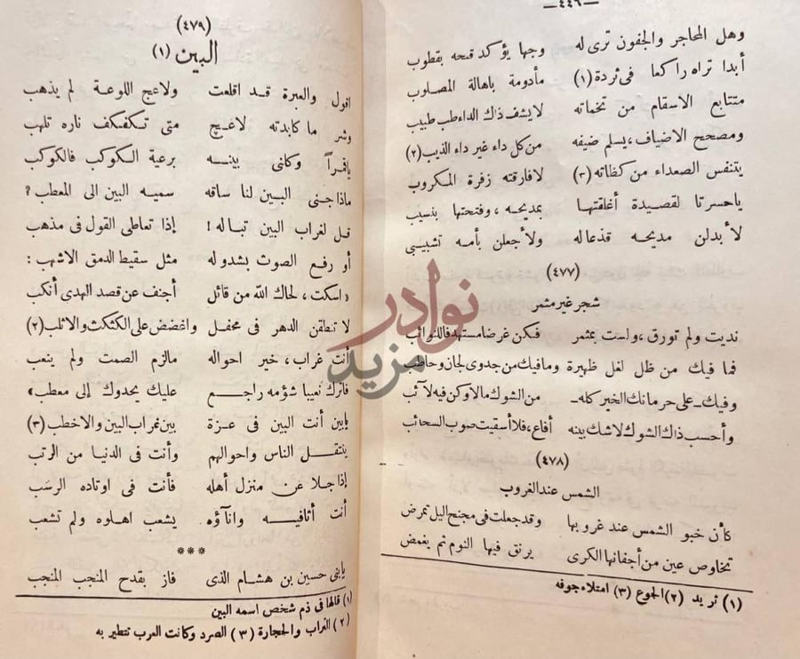 صفحة داخلية كتاب ديوان ابن الرومي الدين