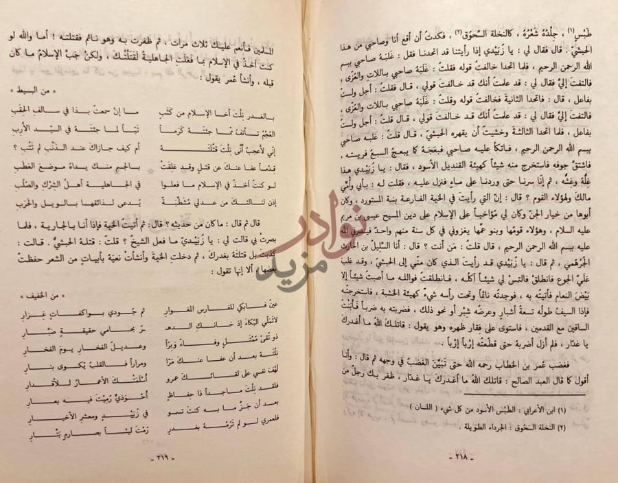 صفحة داخلية كتاب شعر عمرو بن معدي كرب الزبيدي