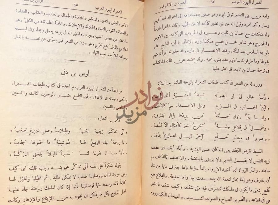 صفحة داخلية كتاب الشعراء اليهود العرب أوس بن دفى
