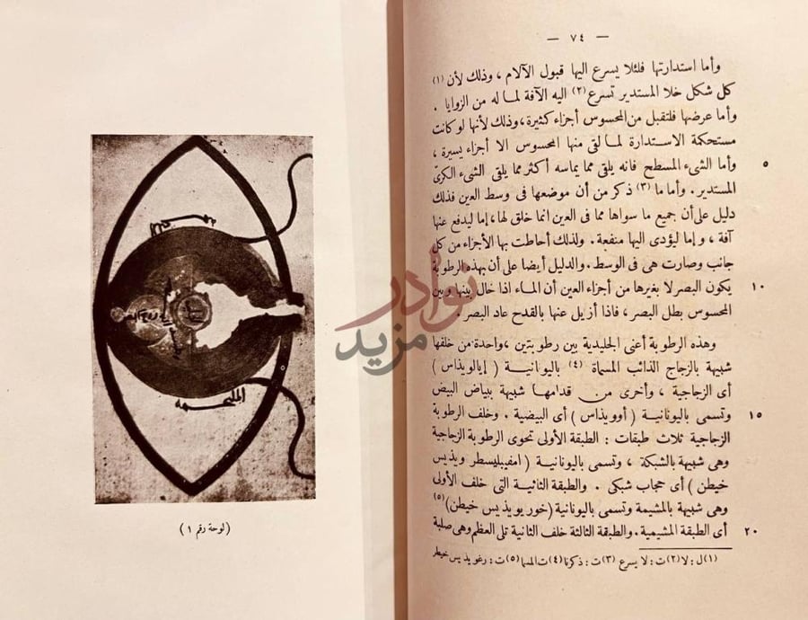 صفحة داخلية كتاب العشر مقالات في العين لوحة رقم