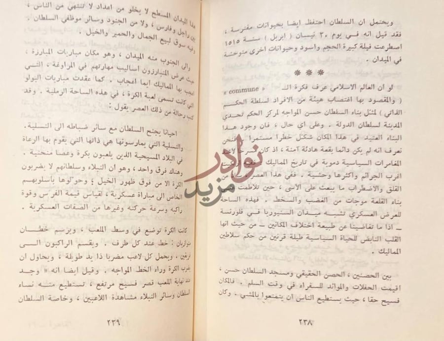 صفحة داخلية كتاب القاهرة مدينة الفن والتجارة