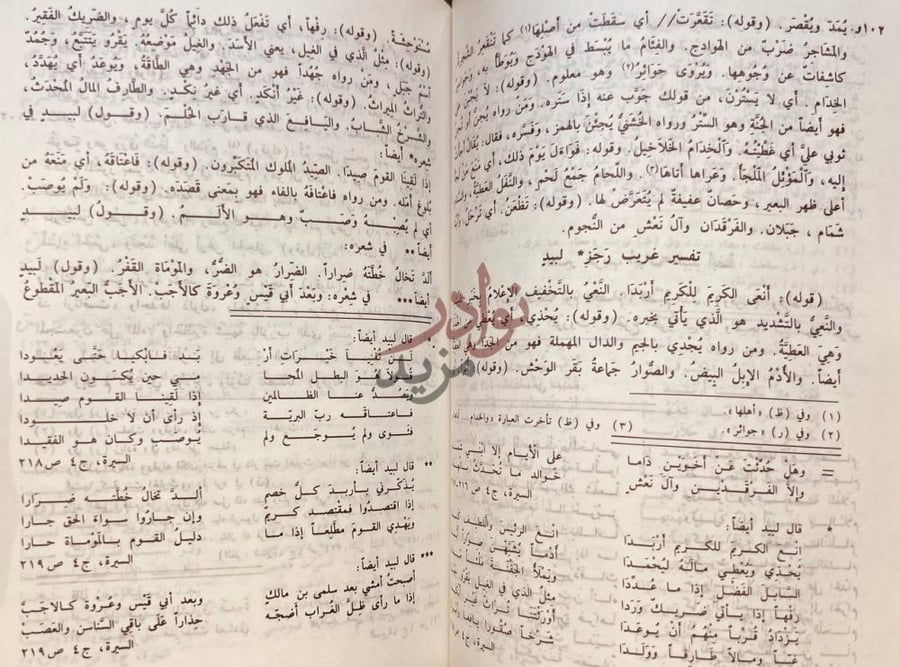 صفحة داخلية كتاب الاملاء المختصر في شرح غريب السير