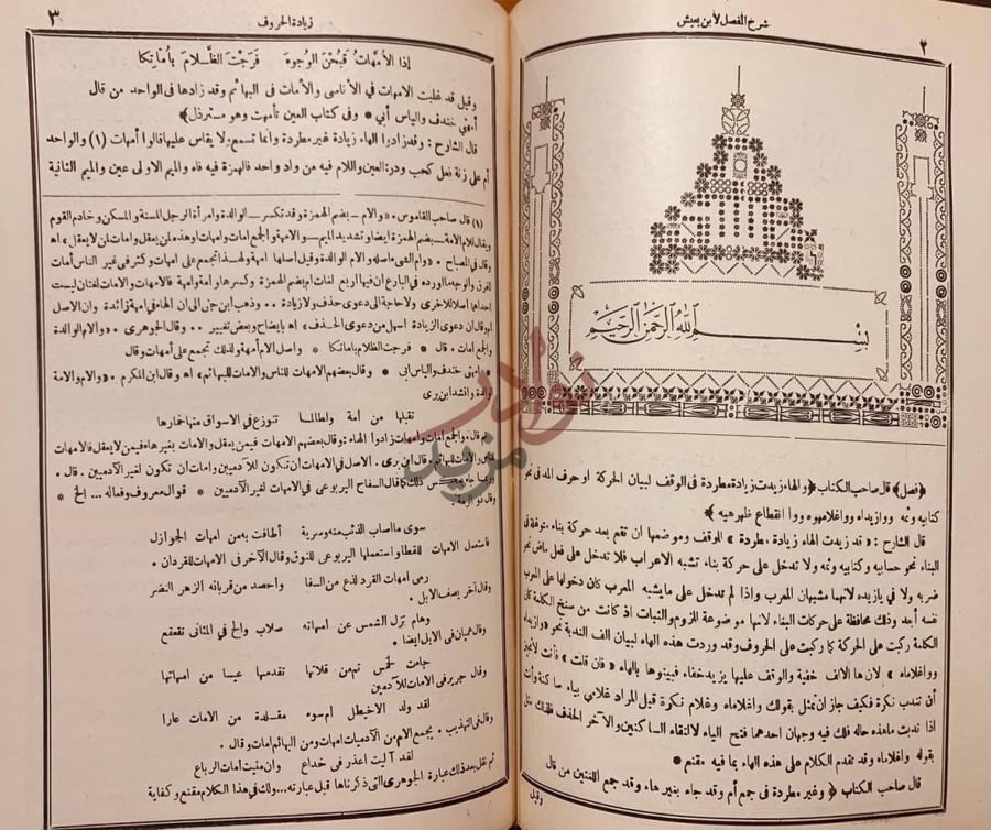 صفحة داخلية كتاب شرح المفصل باب
