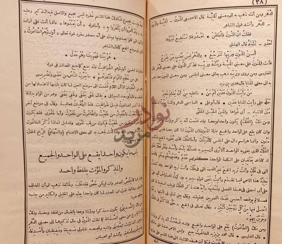 صفحة داخلية كتاب المخصص باب ما يكون واحدا
