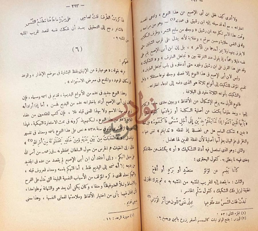 صفحة داخلية كتاب ابن ابي الاصبع المصري بين علماء البلاغة