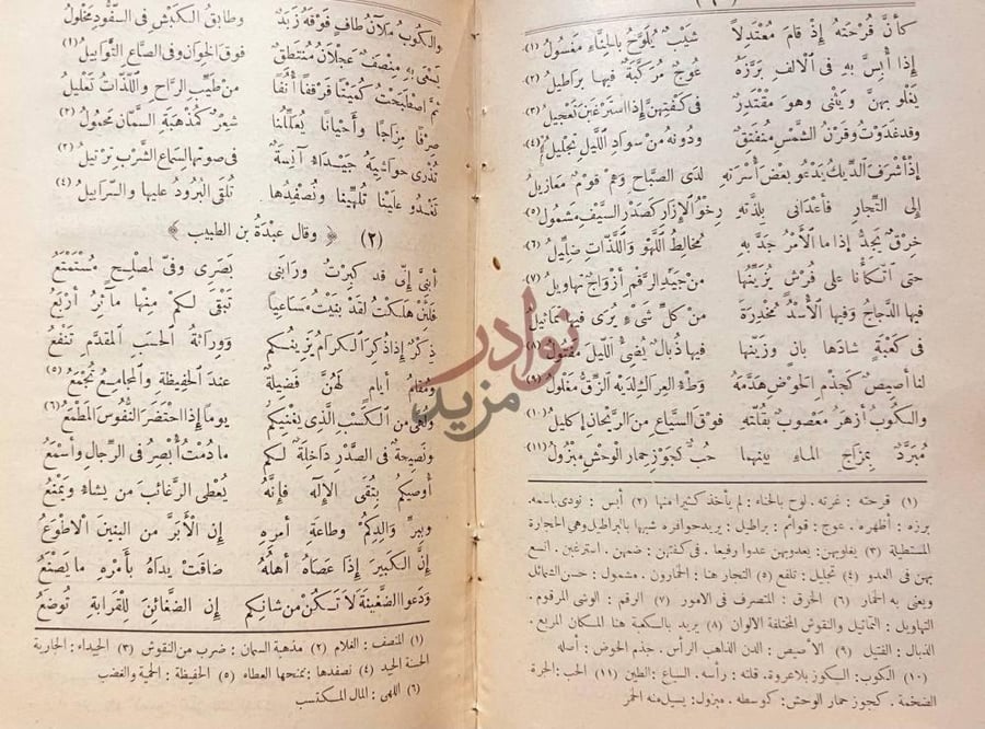 صفحة داخلية كتاب المفضليات وقال عبد بن