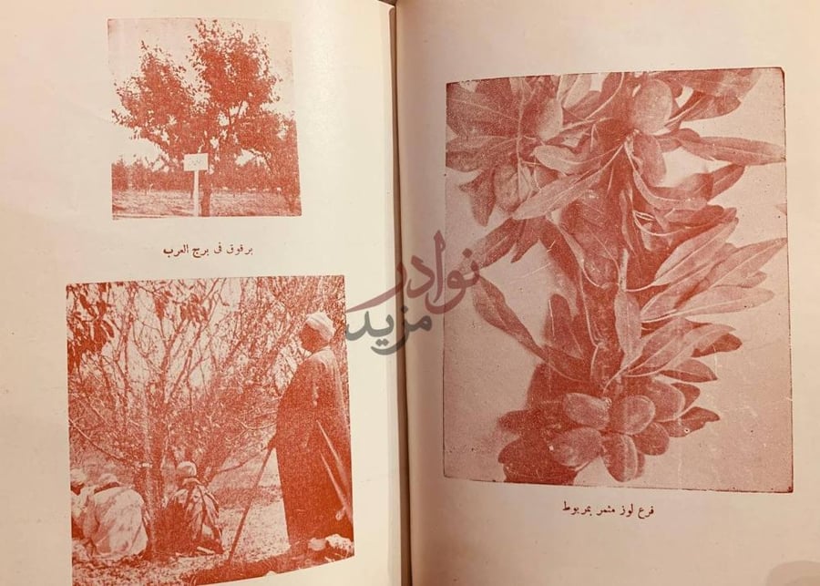 صفحة داخلية كتاب الصحراء افاق صالحة للاستثمار والزراعة