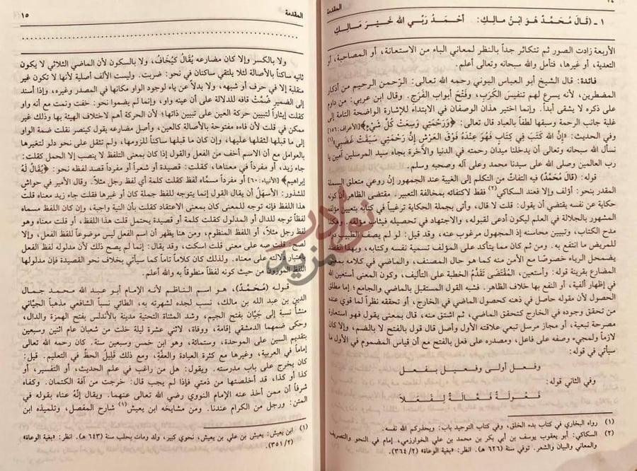 تمهيد كتاب حاشية الخضري على شرح ابن عقيل على الفية ابن مالك