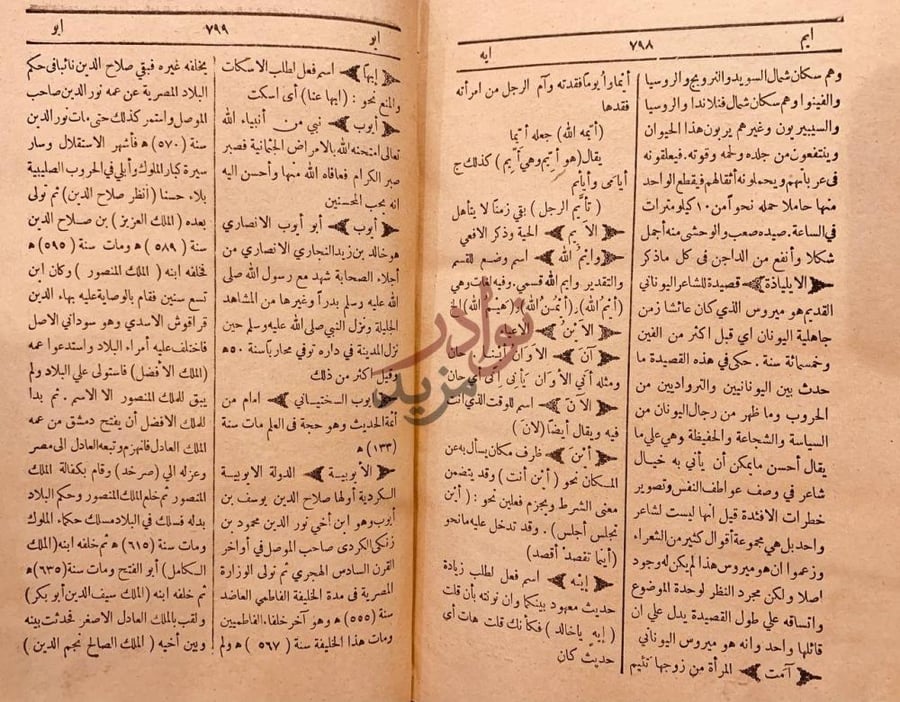 صفحة داخلية كتاب دائرة معارف القرن الرابع عشر العشرين