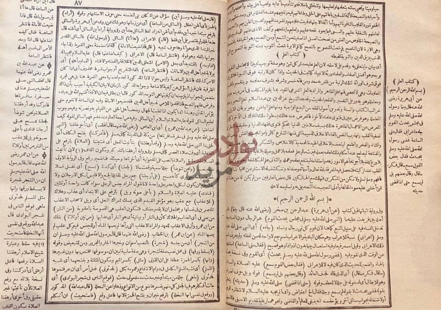صفحة داخلية كتاب فتح المبدي شرح مختصر الزبيدي كتاب العلم