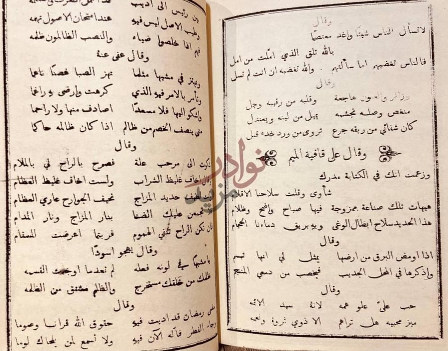 صفحة داخلية كتاب ديوان بكشاجم صفحات شعرية إضافية