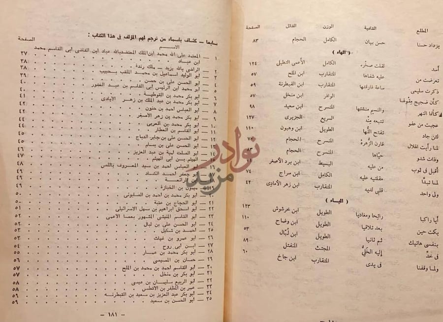 كشاف كتاب رايات المبرزين وغايات المميزين