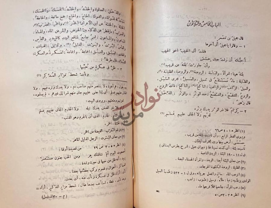 صفحة داخلية كتاب المسلسل في غريب لغة العرب الباب الخامس