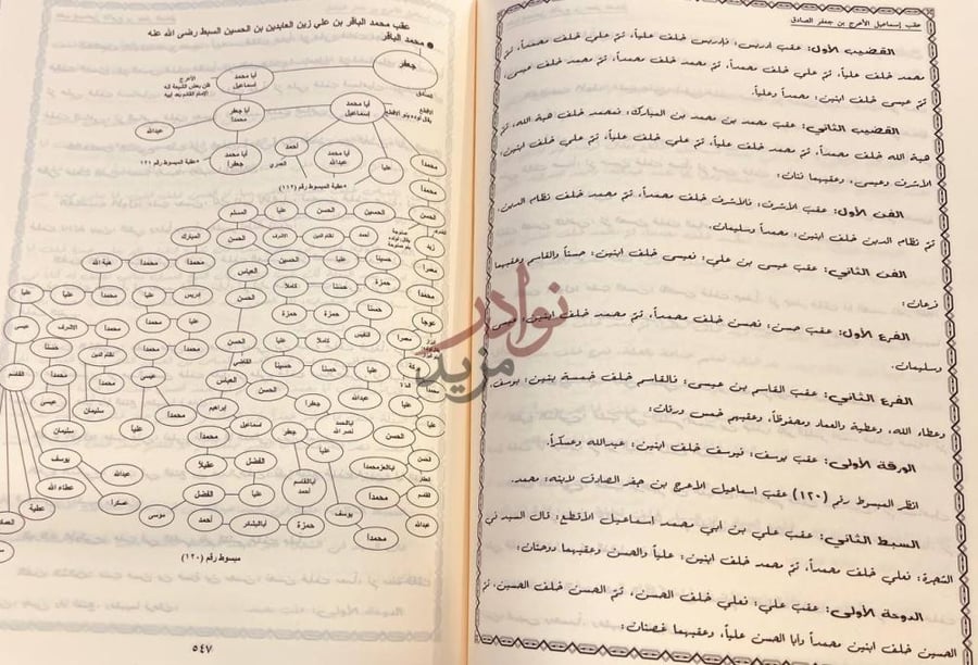 صفحة داخلية كتاب مختصر تحفة الازهار وزلال الانهار في نسب