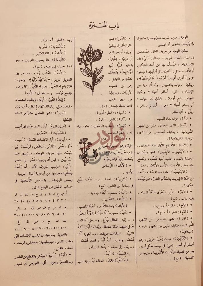 صفحة داخلية كتاب المعجم الوسيط باب اله م ز ة