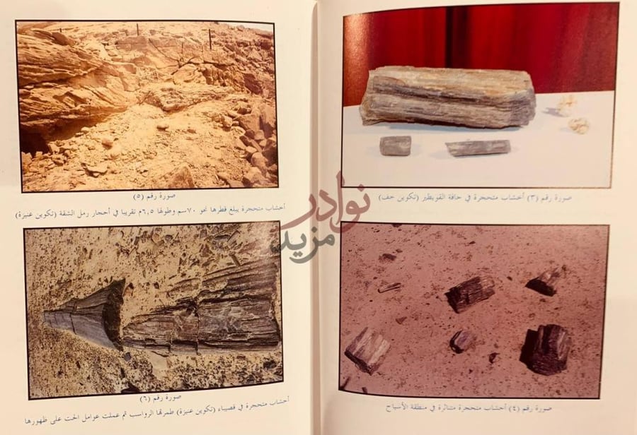 صفحة داخلية كتاب ارض القصيم