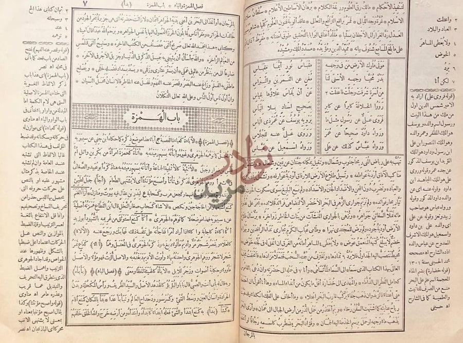 صفحة داخلية كتاب القاموس المحيط باب الهمزة