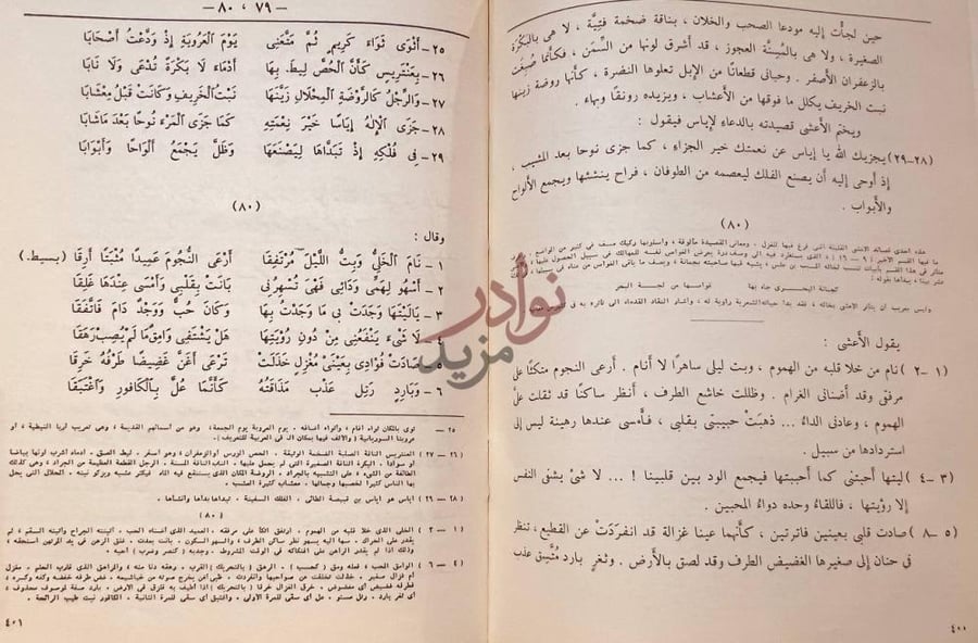 صفحة داخلية كتاب ديوان الاعشى الكبير ميمون بن قيس