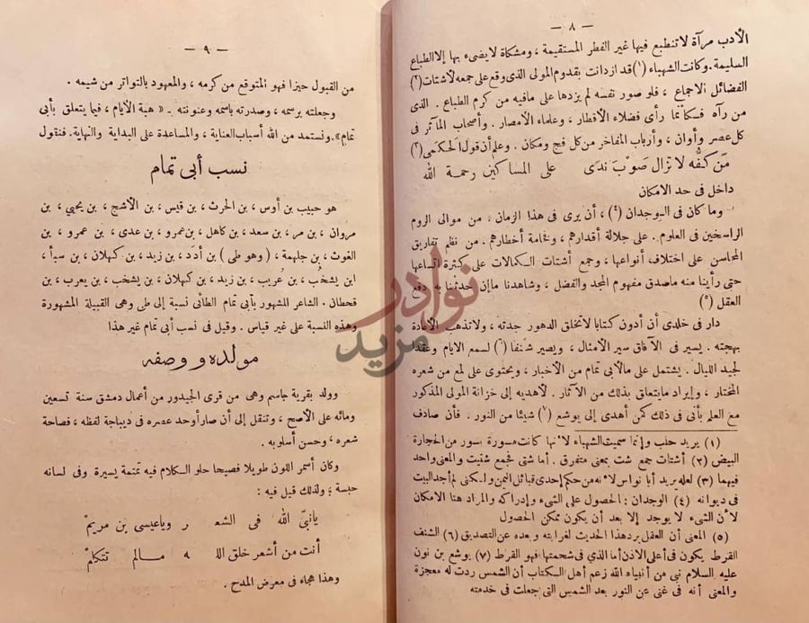 صفحة داخلية كتاب هبة الايام فيما يتعلق بابي تمام