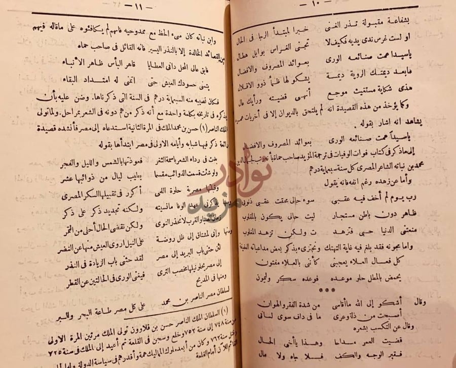 صفحة داخلية كتاب ابن نباتة الشاعر المصري بحث ونقد وتحليل