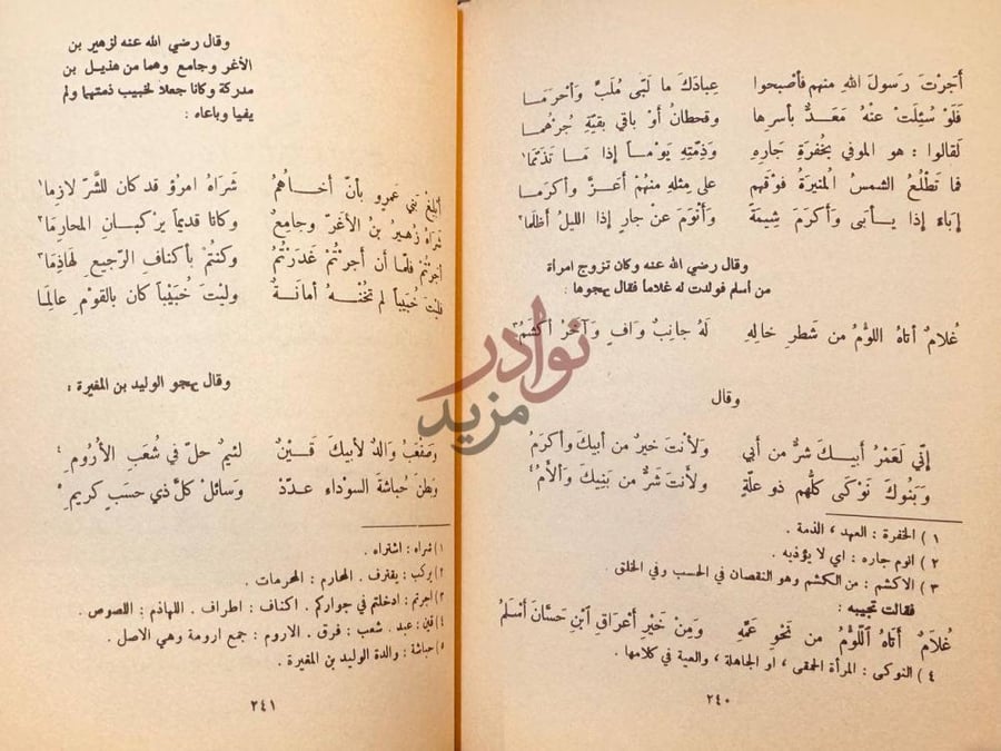 صفحة داخلية كتاب شرح ديوان حسان بن ثابت الانصاري