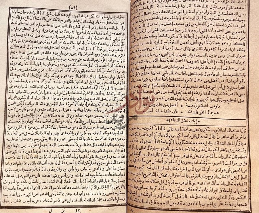 صفحة داخلية كتاب نزهة المجالس ومنتخب النفائس