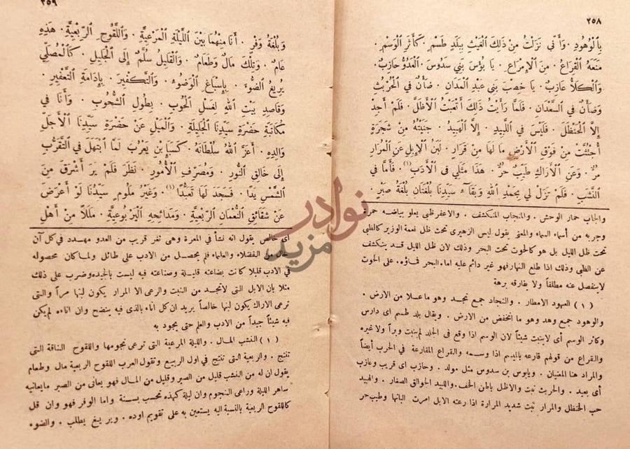 صفحة داخلية كتاب فحول البلاغة نص الشعر مع الشرح
