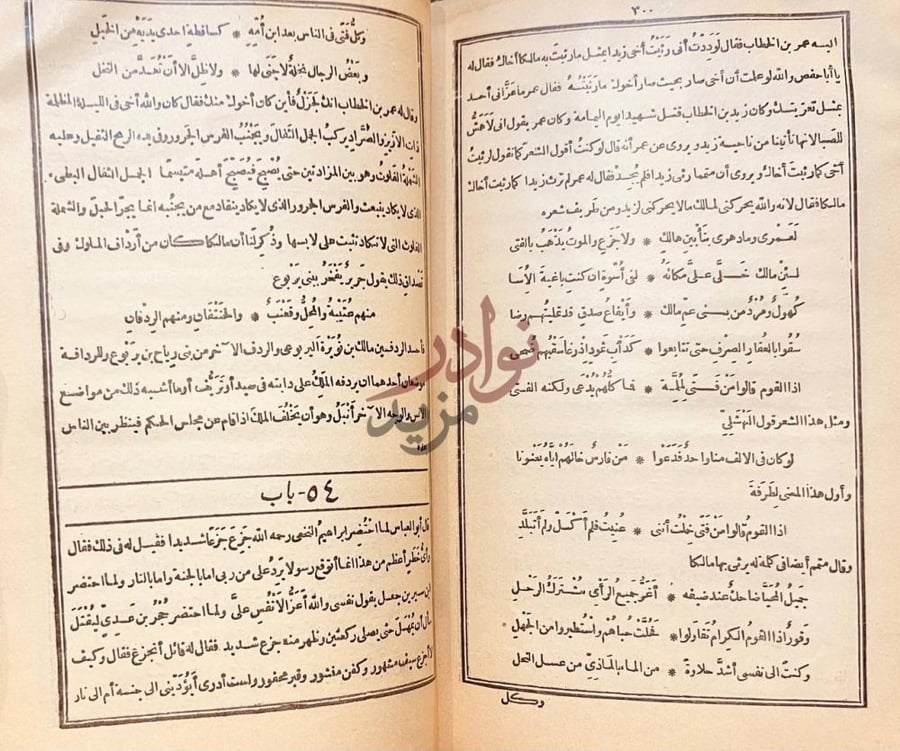 صفحة داخلية كتاب الكامل في اللغة والادب باب