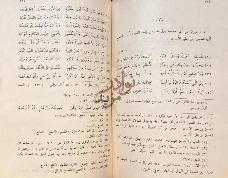 صفحة داخلية كتاب شعر مروان بن ابي حفصة قال مروان بن أبي