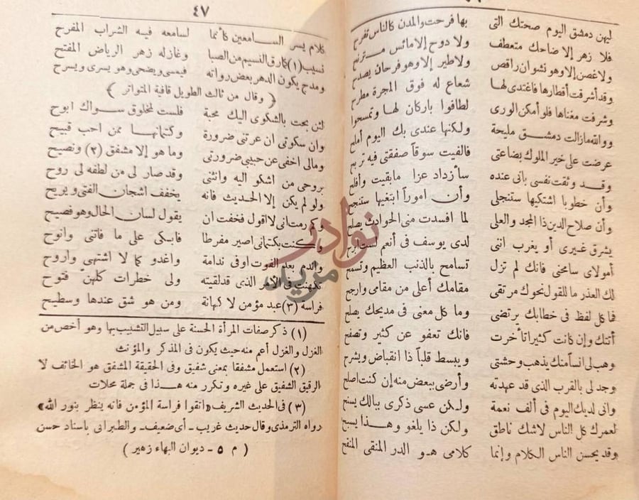 صفحة داخلية كتاب ديوان ابي الفضل بهاء الدين زهير