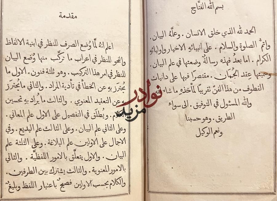 مجموع الادب في فنون العرب عقد الجمان في علم البيان /ناصيف الياذجي