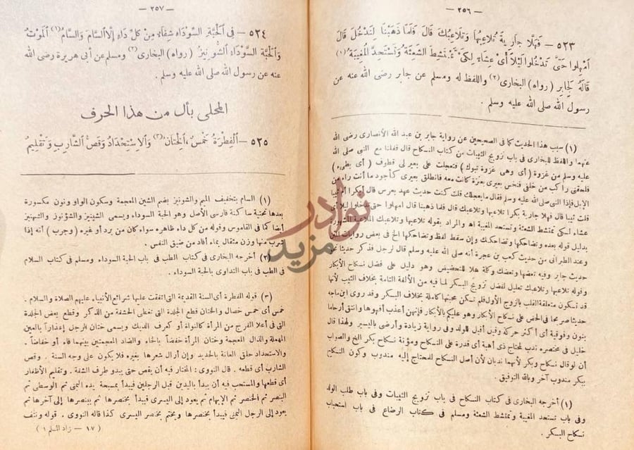 صفحة داخلية كتاب زاد المسلم فيما اتفق عليه البخارى ومسلم