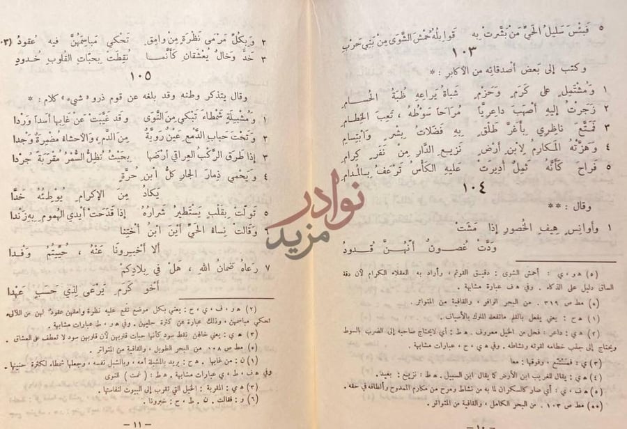 صفحة داخلية كتاب ديوان الابيوردي صفحات من المتن