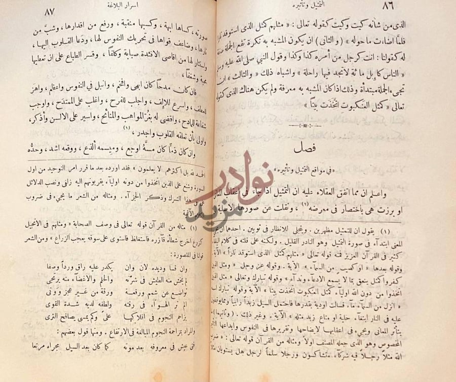 صفحة داخلية كتاب اسرار البلاغة فصل في مواقع التمثيل
