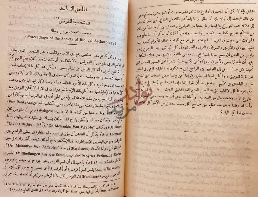 صفحة داخلية كتاب فتح العرب لمصر الملحق الثالث