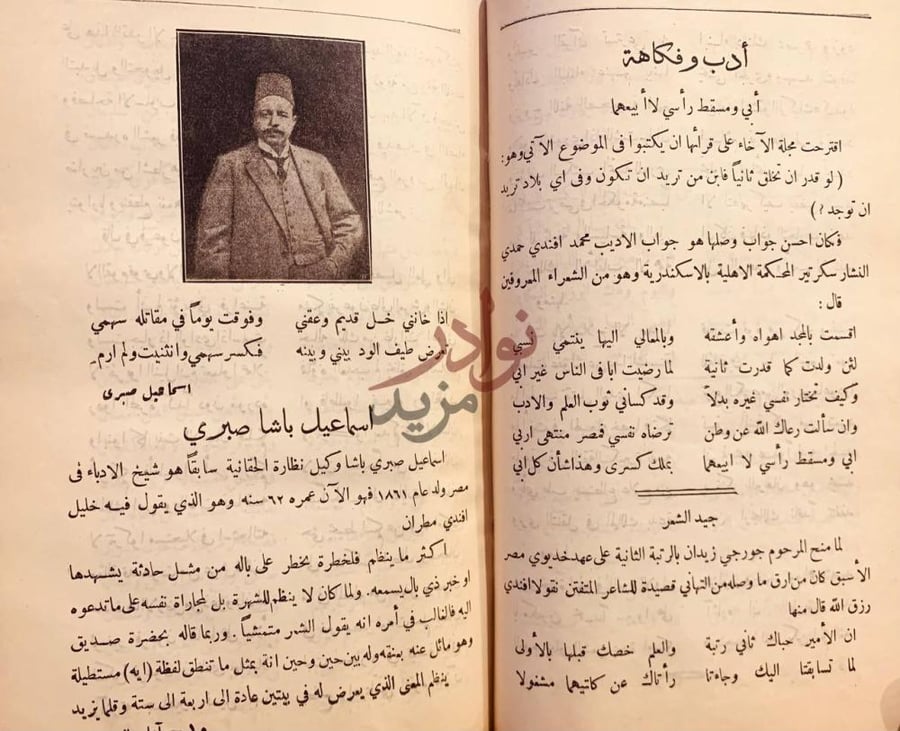 صفحة داخلية كتاب اداب العصر في شعراء الشام والعراق ومصر