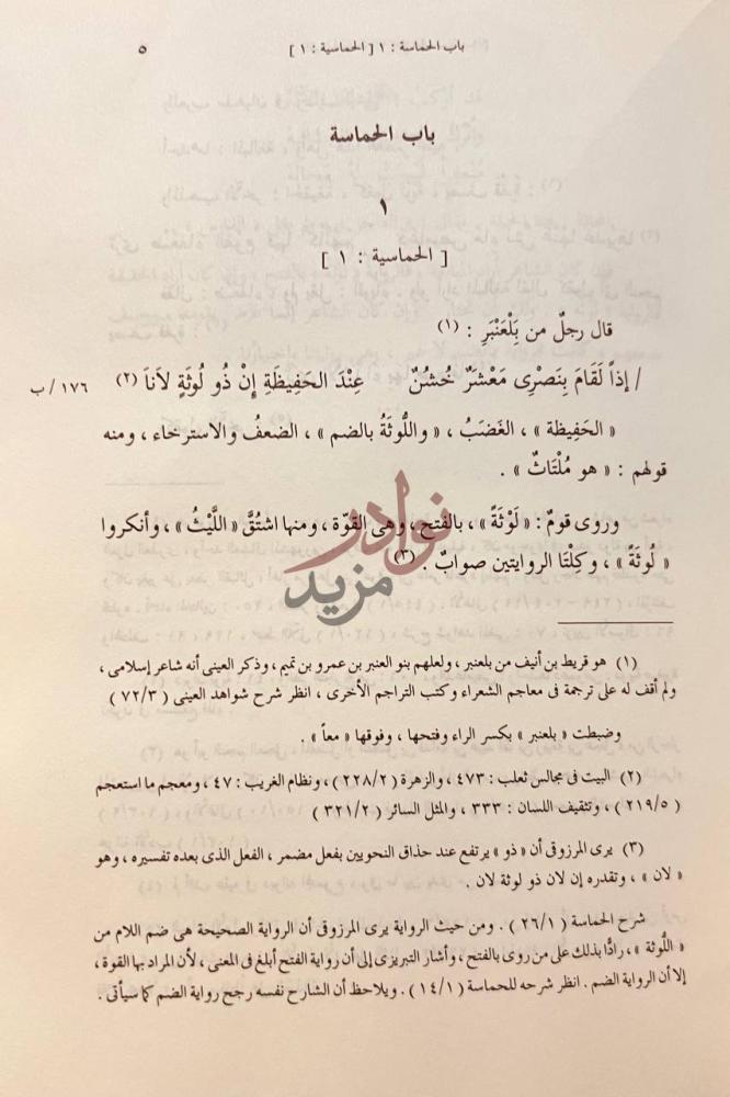 صفحة داخلية كتاب معاني ابيات الحماسة باب الحماسة