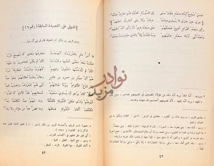 صفحة داخلية كتاب ديوان الحطيئة تذييل على القصيدة