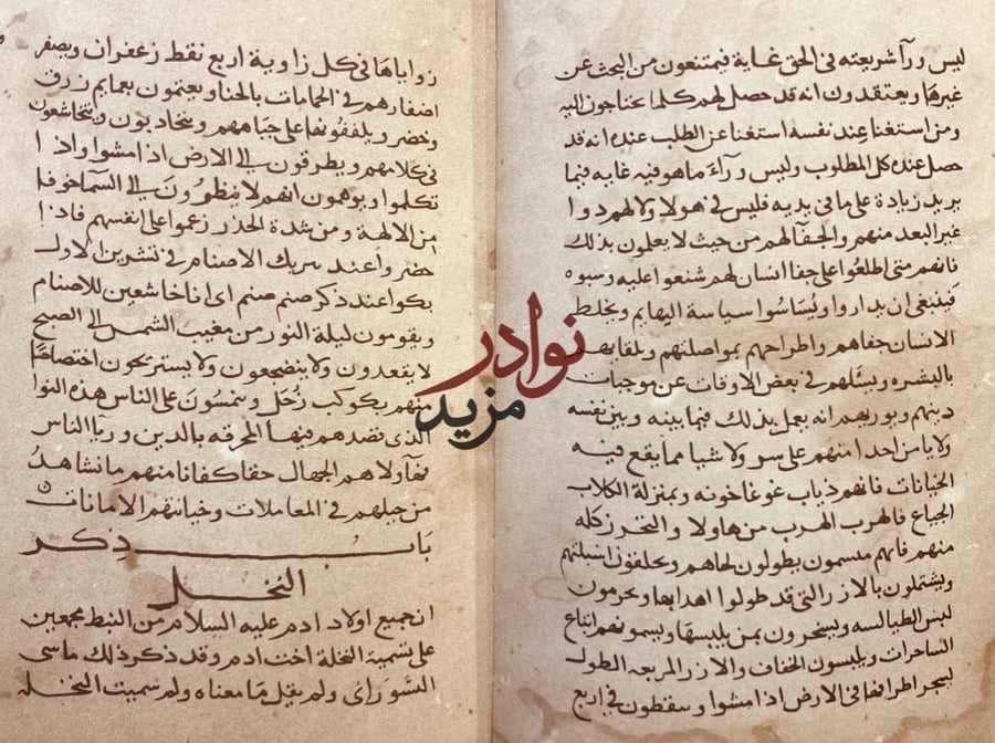 الفلاحة النبطية الجزء السابع/ابن وحشية صورة مخطوط