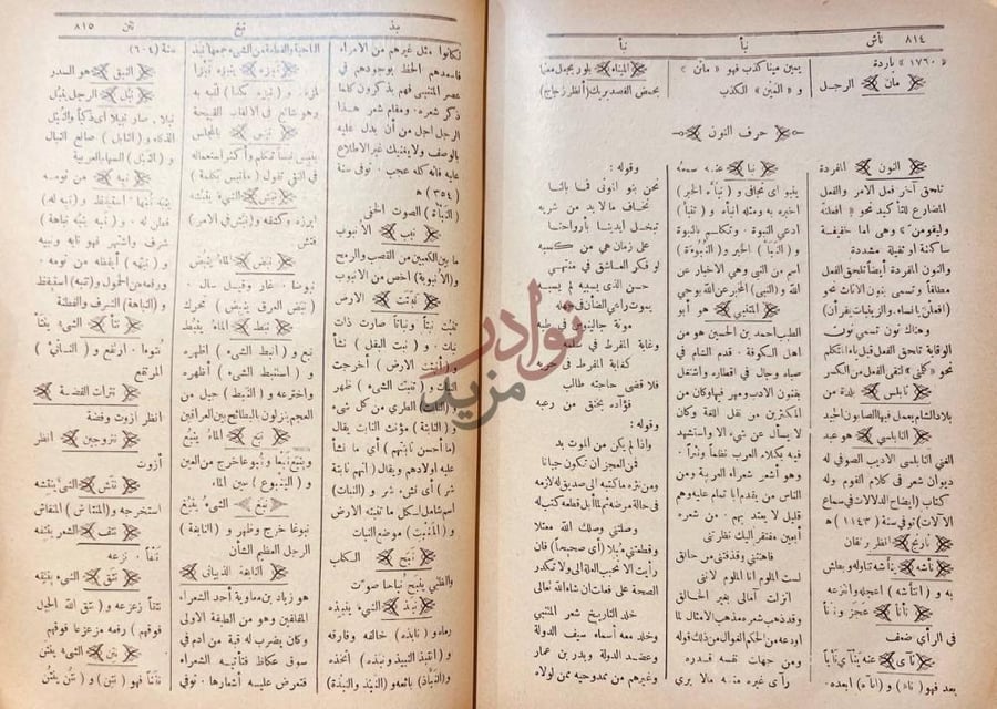 صفحة داخلية كتاب كنز العلوم واللغة حرف النون