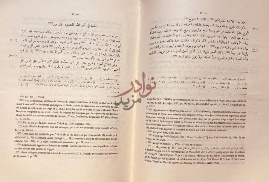 صفحة داخلية كتاب اخبار الدول المنقطعة