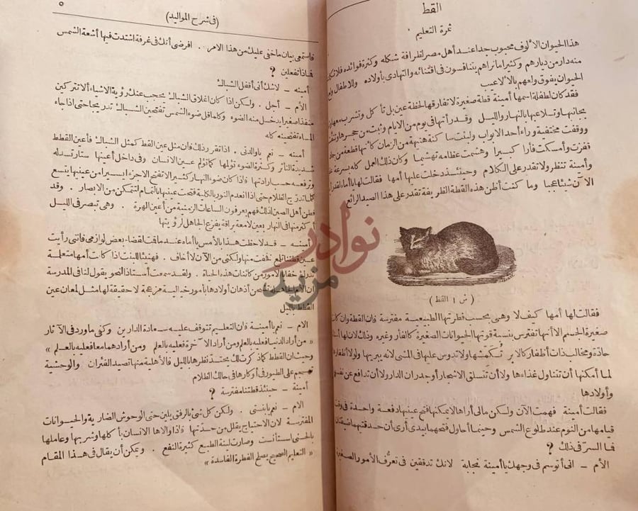 صفحة داخلية كتاب السمير المفيد في شرح المواليد القط