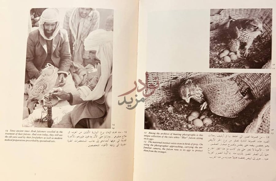 صفحة داخلية كتاب رياضة الصيد بالصقور من تراثنا العربي