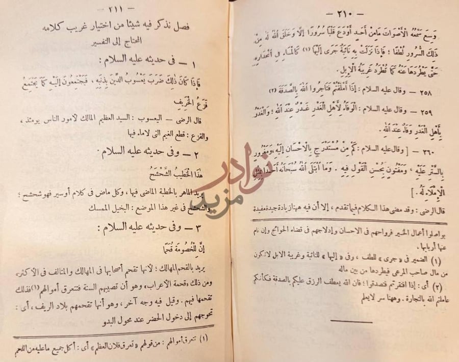 صفحة داخلية كتاب نهج البلاغة فصل نذكر فيه شيئا صورة 8