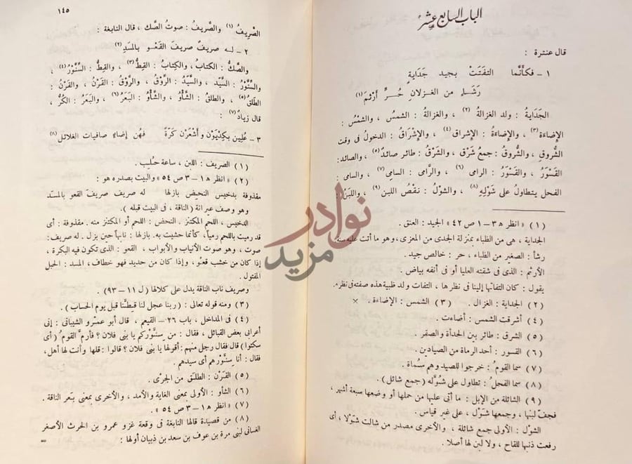 صفحة داخلية كتاب المسلسل في غريب لغة العرب الباب السابع عشر