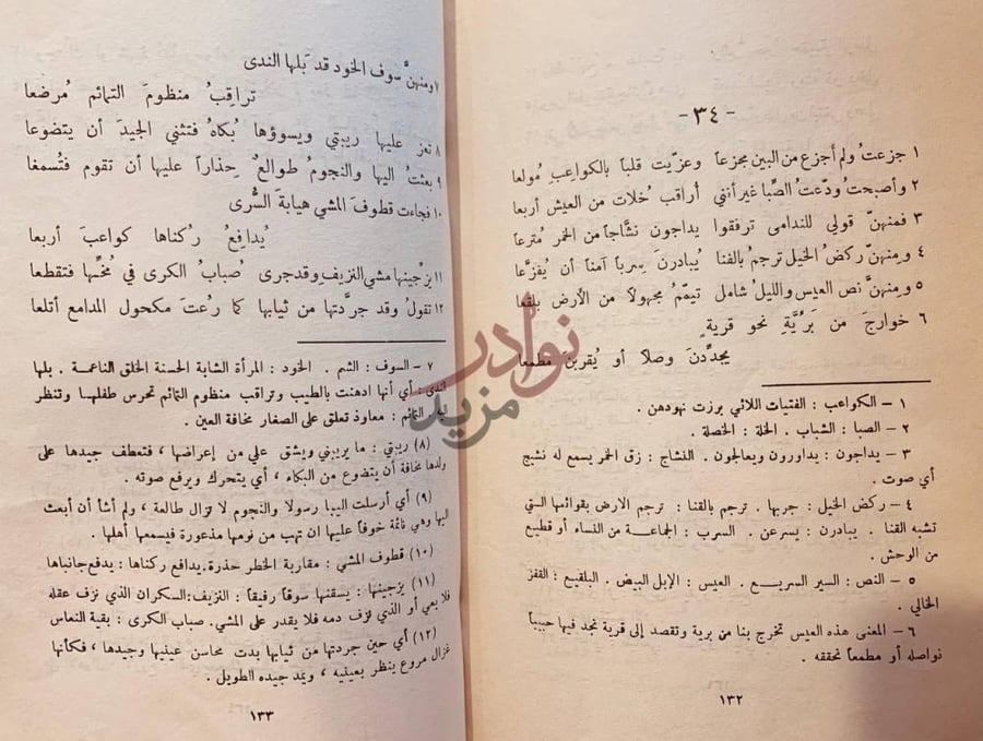 صفحة داخلية كتاب شرح ديوان امرئ القيس