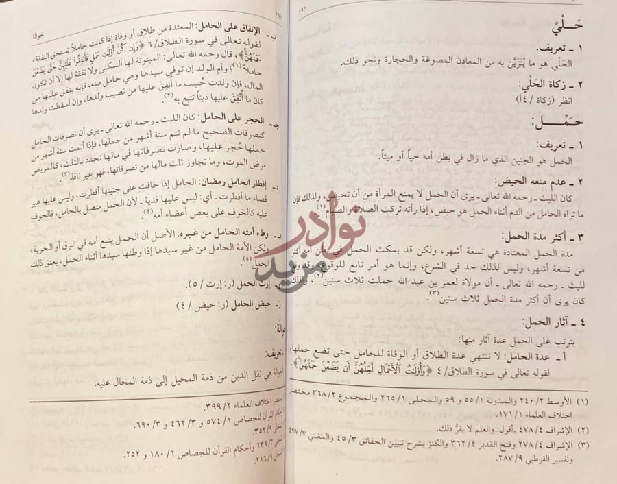 صفحة داخلية كتاب موسوعة الليث بن سعد حلي