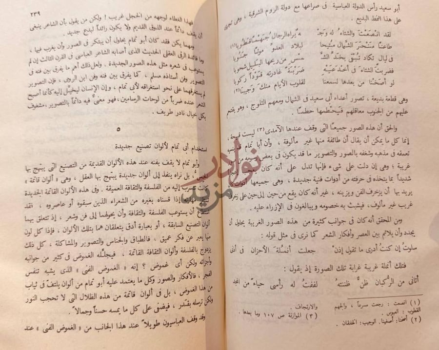 صفحة داخلية كتاب الفن ومذاهبه في الشعر العربي