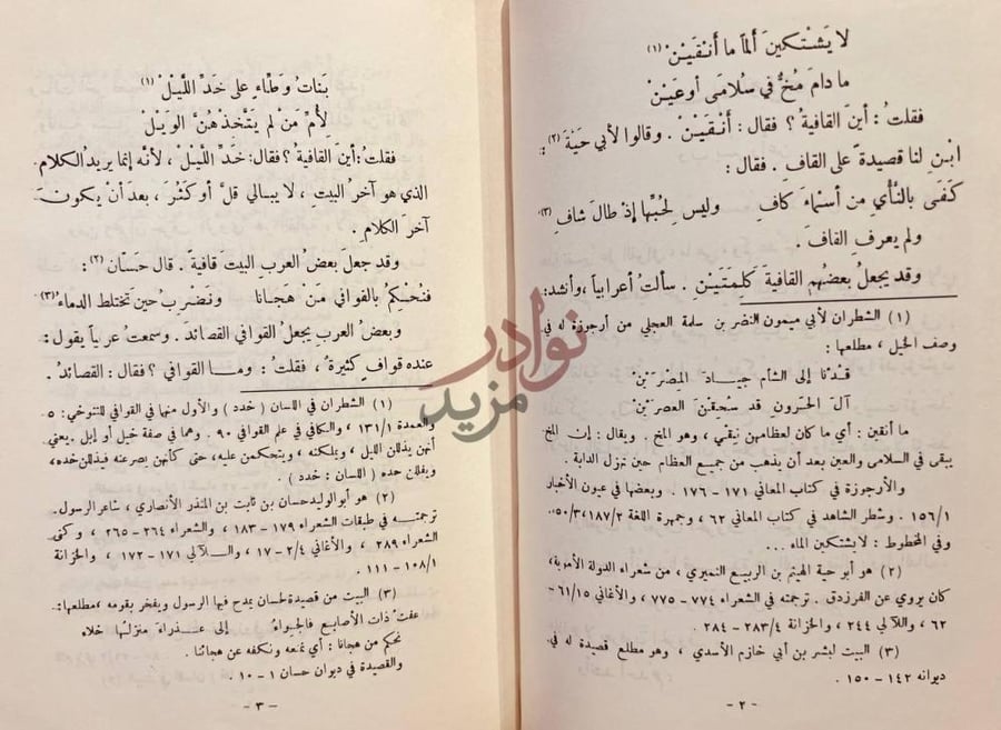 صفحة داخلية كتاب القوافي نص الكتاب مع حواش